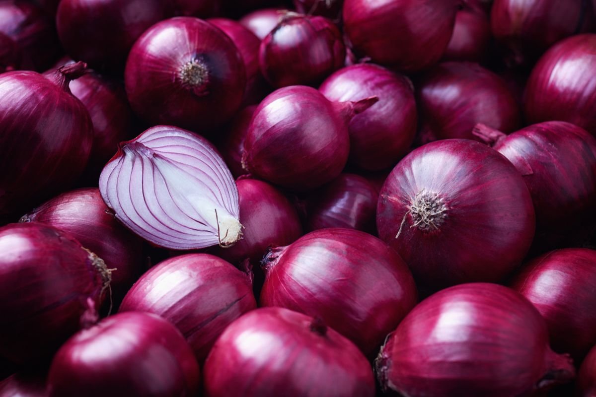 Bawang Besar